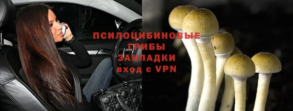 МДПВ Армянск