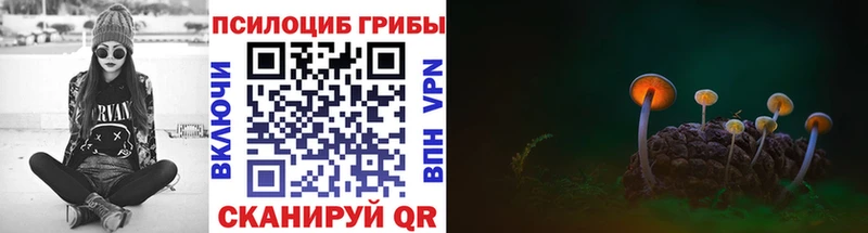 Псилоцибиновые грибы Psilocybe  Болхов 